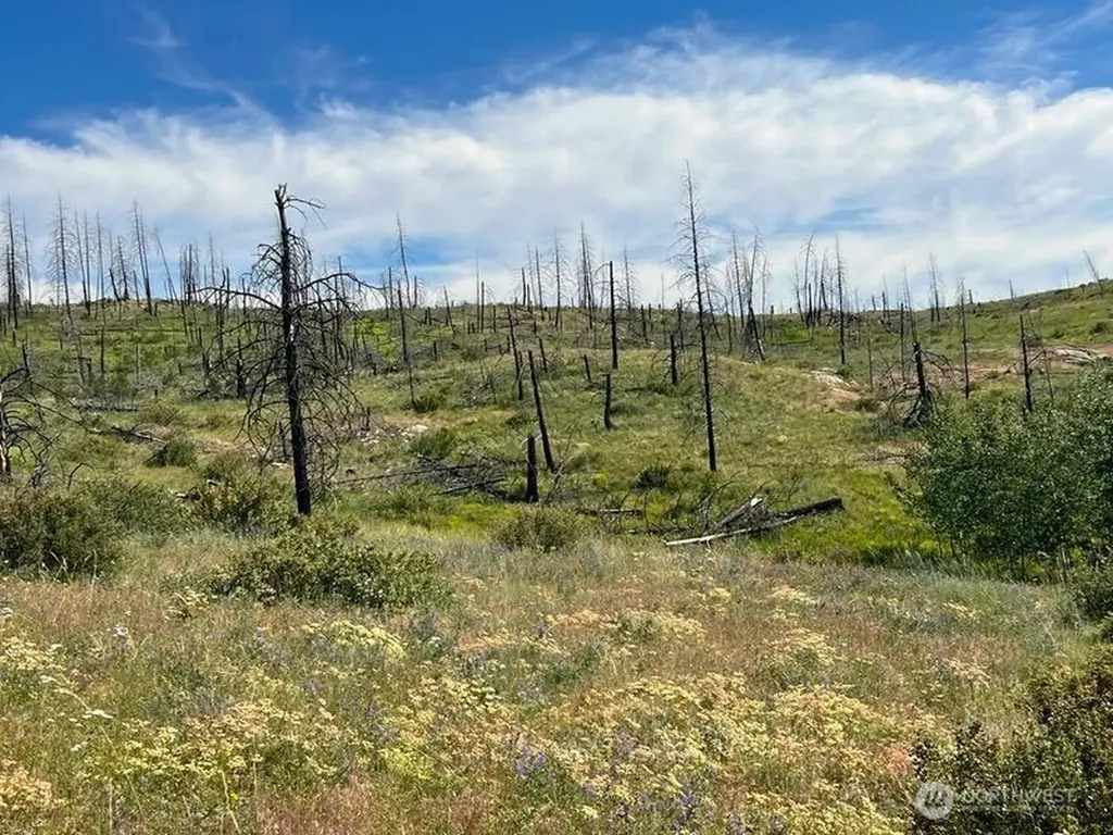 0 Lone Spur Road Oroville WA 98844