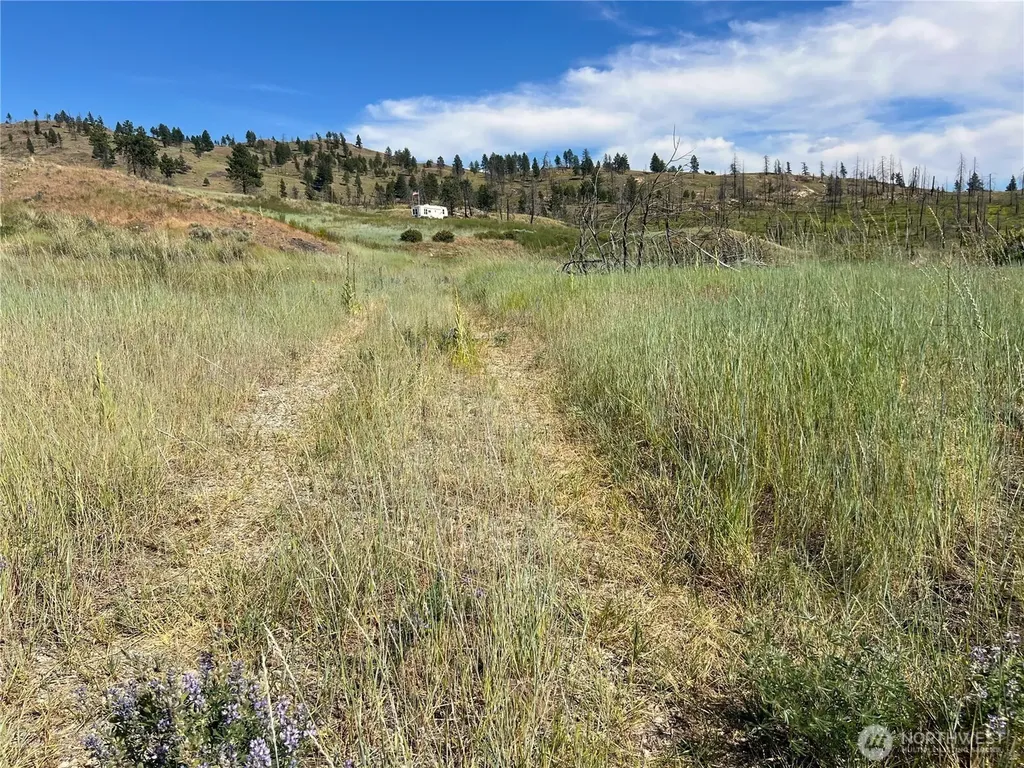 0 Lone Spur Road Oroville WA 98844