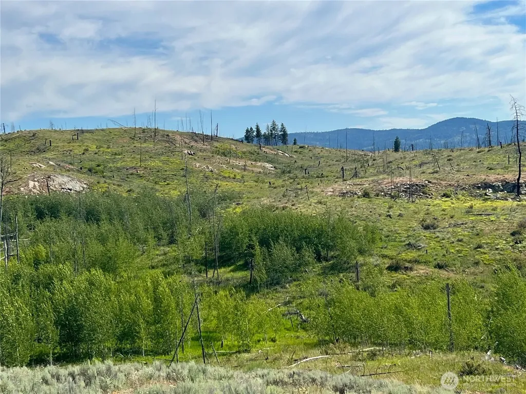 0 Lone Spur Road Oroville WA 98844