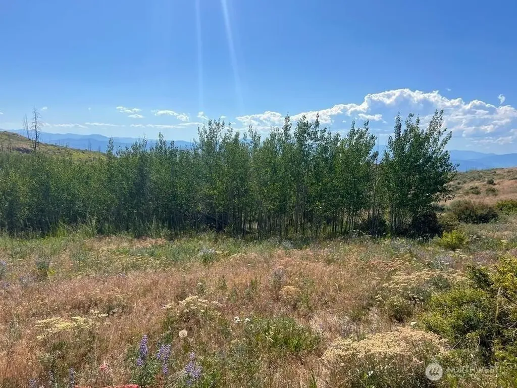 0 Lone Spur Road Oroville WA 98844