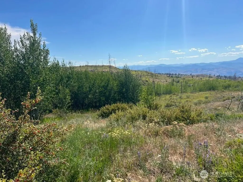0 Lone Spur Road Oroville WA 98844