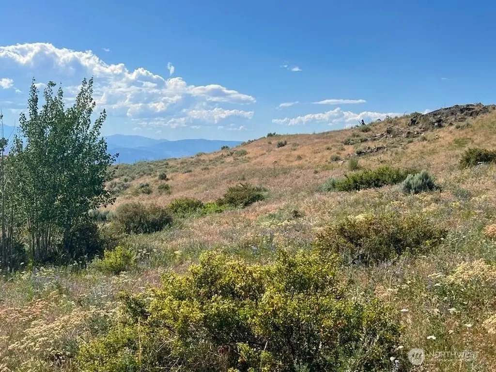 0 Lone Spur Road Oroville WA 98844