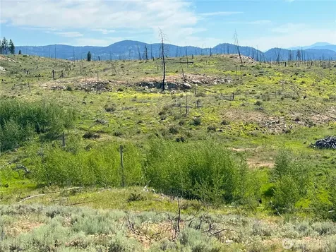 0 Lone Spur Road Oroville WA 98844