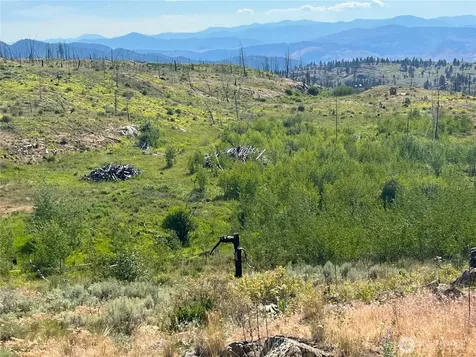 0 Lone Spur Road Oroville WA 98844