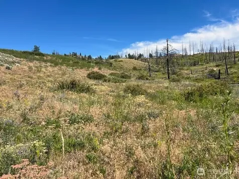0 Lone Spur Road Oroville WA 98844