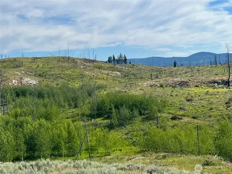 0 Lone Spur Road Oroville WA 98844