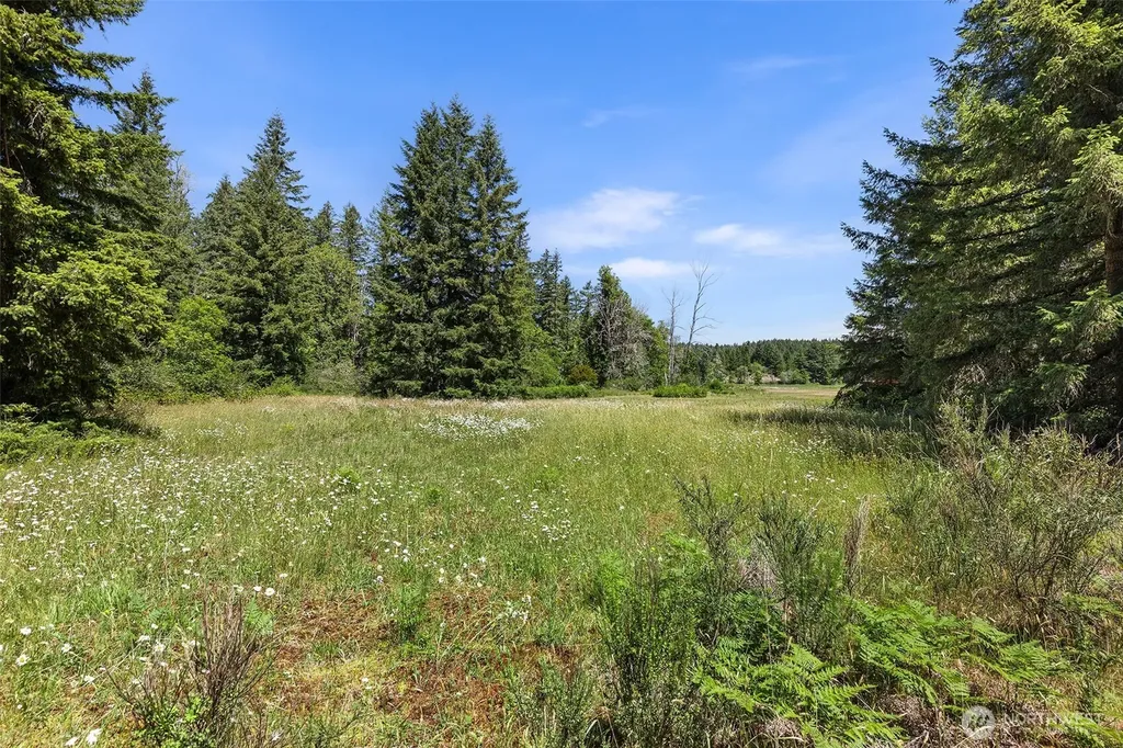 22030 Peissner Road SE Yelm WA 98597