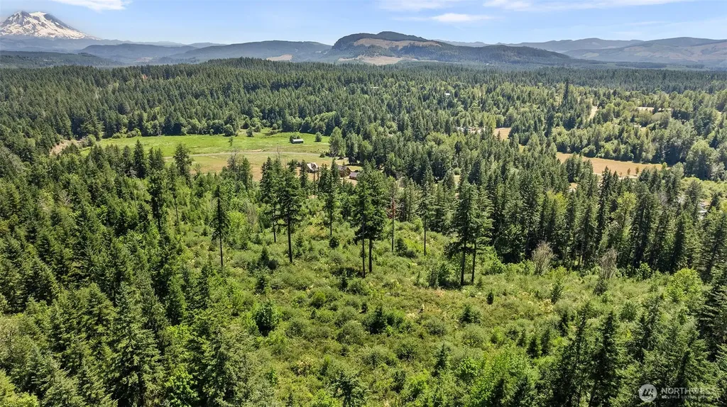 22030 Peissner Road SE Yelm WA 98597