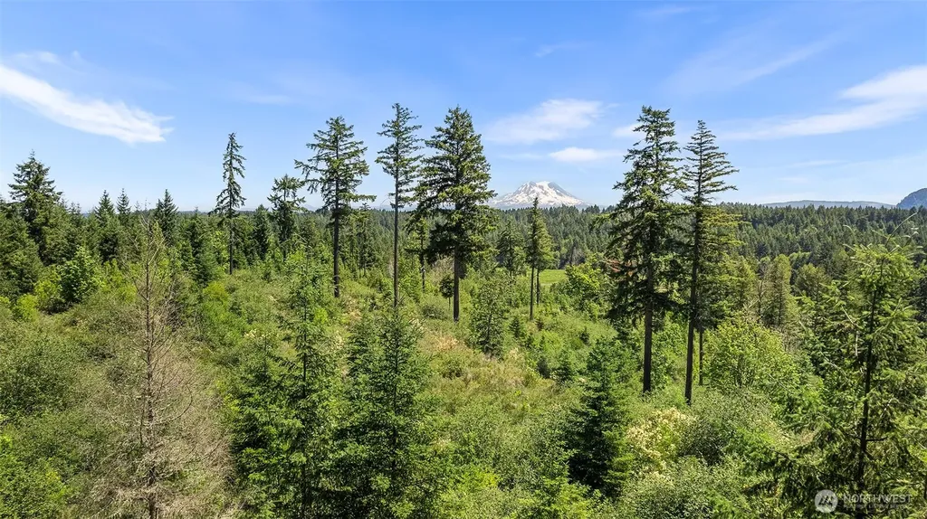 22030 Peissner Road SE Yelm WA 98597