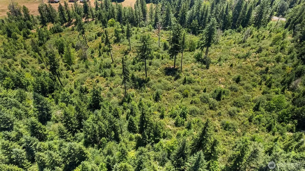 22030 Peissner Road SE Yelm WA 98597