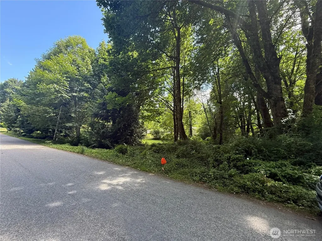 0 Cape Horn Drive Concrete WA 98237
