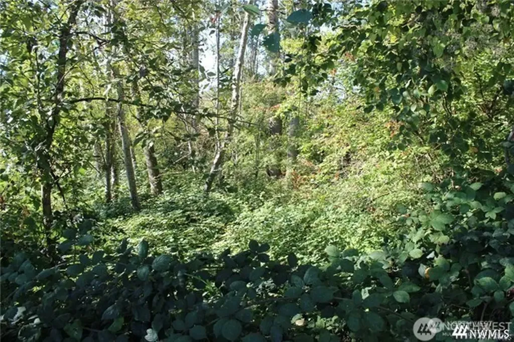 3085 W Maplewood Avenue Bellingham WA 98225