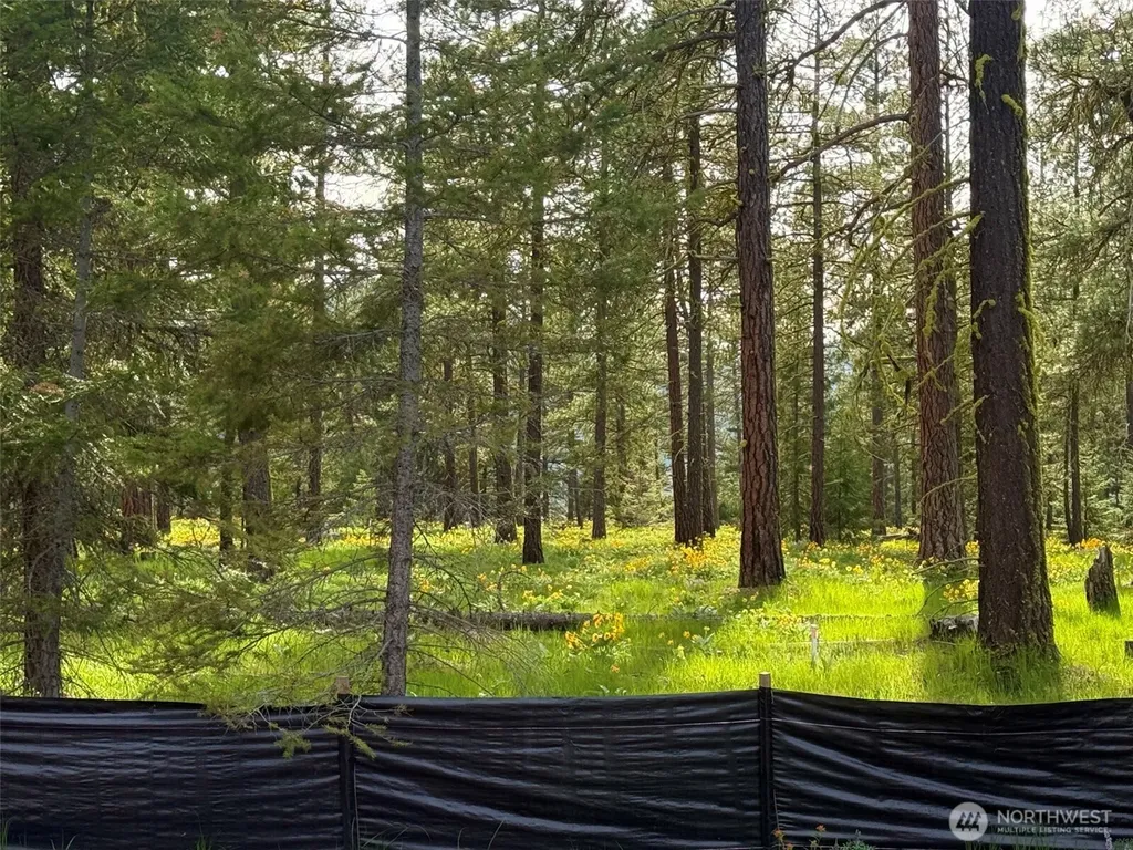 141 Plateau Loop Cle Elum WA 98922