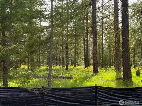 141 Plateau Loop Cle Elum WA 98922