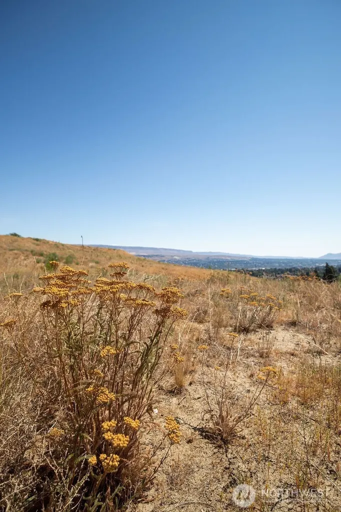 0 Lot 7 Ridgefield Way Wenatchee WA 98801