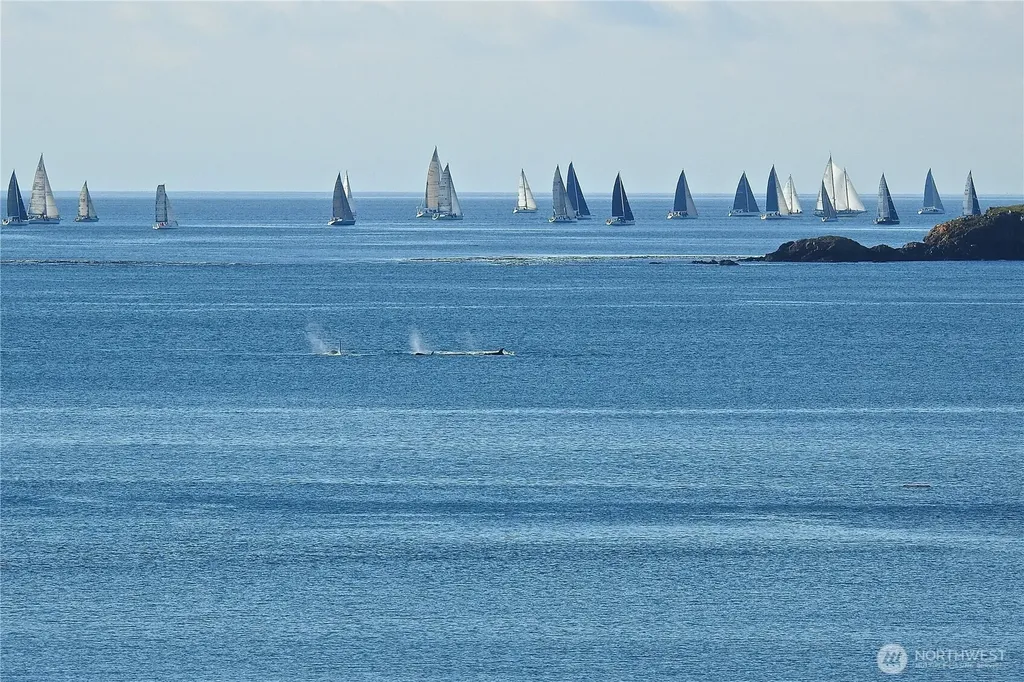Lopez Island WA 98261