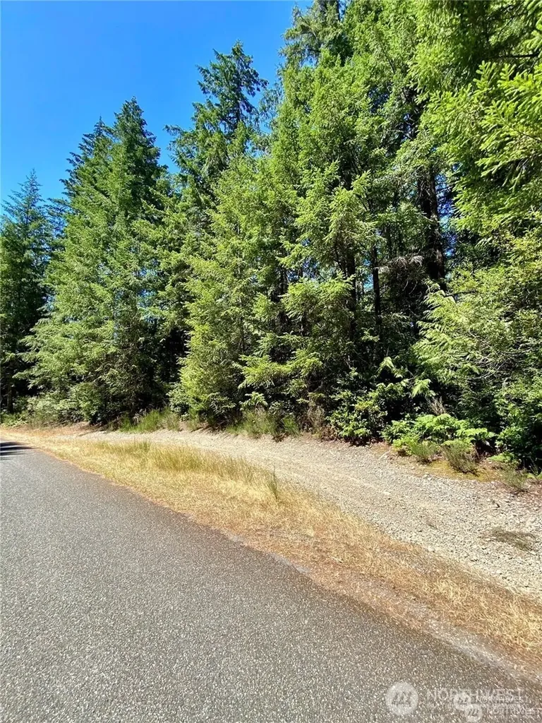 0 E Balmoral Way Shelton WA 98584