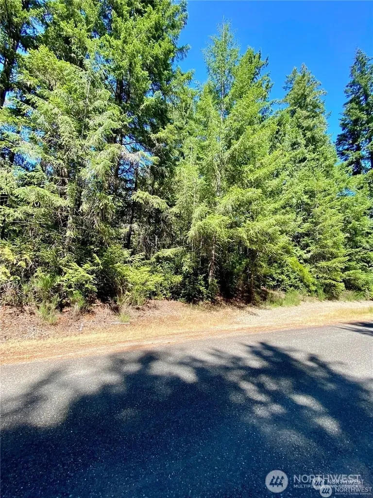 0 E Balmoral Way Shelton WA 98584