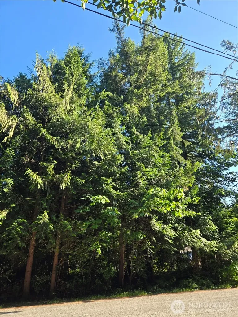 0 Baker Drive Concrete WA 98237