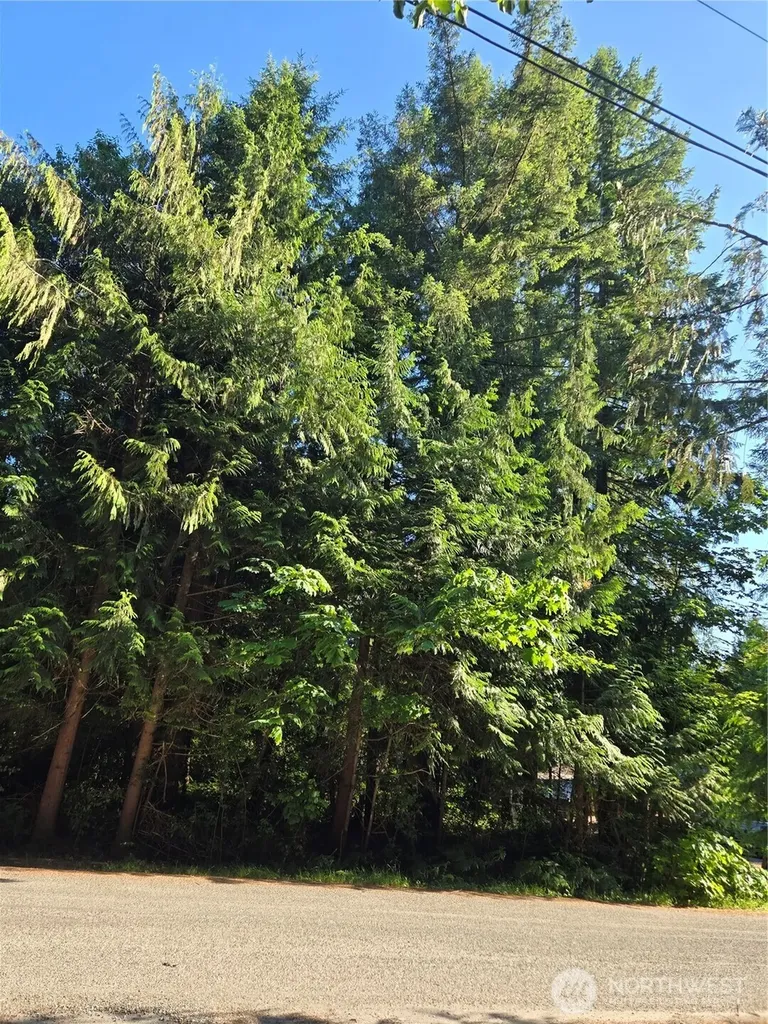 0 Baker Drive Concrete WA 98237
