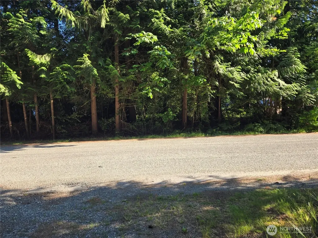 0 Baker Drive Concrete WA 98237