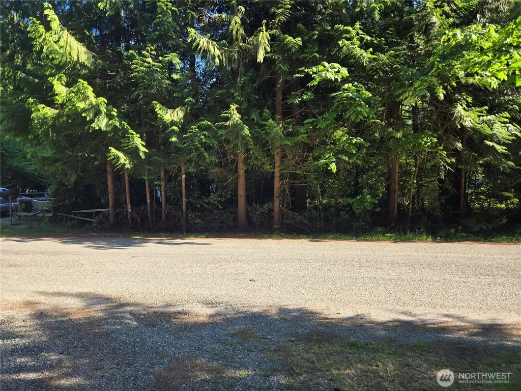 0 Baker Drive Concrete WA 98237