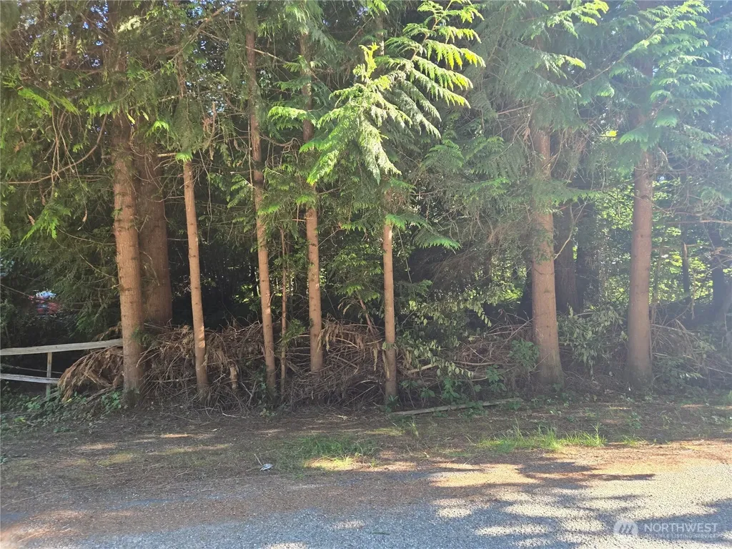 0 Baker Drive Concrete WA 98237