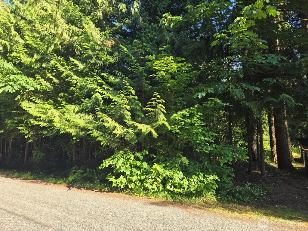 0 Baker Drive Concrete WA 98237