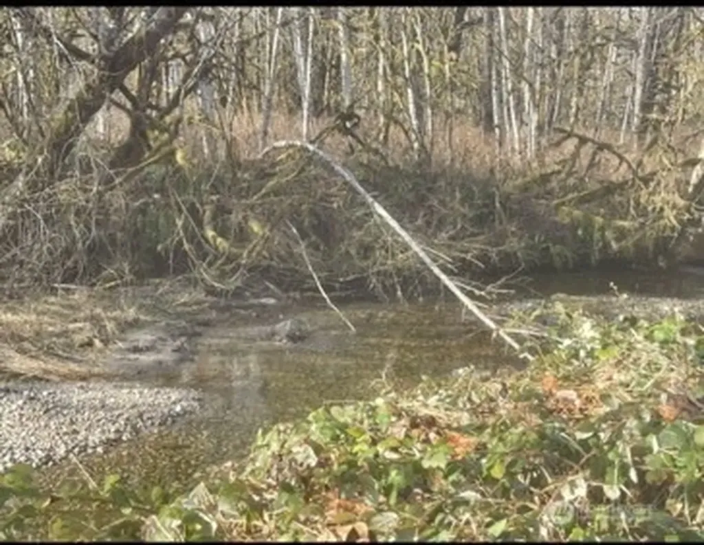 0 Sauk Road Rockport WA 98237