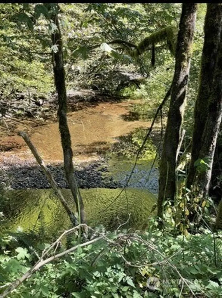 0 Sauk Road Rockport WA 98237