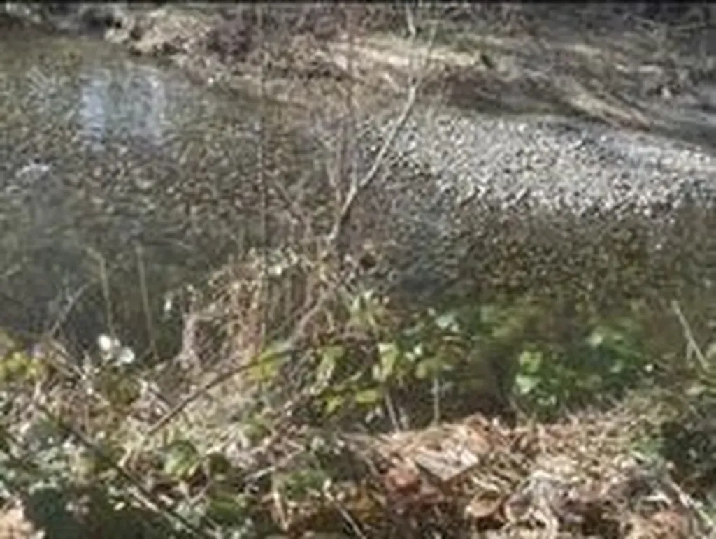 0 Sauk Road Rockport WA 98237