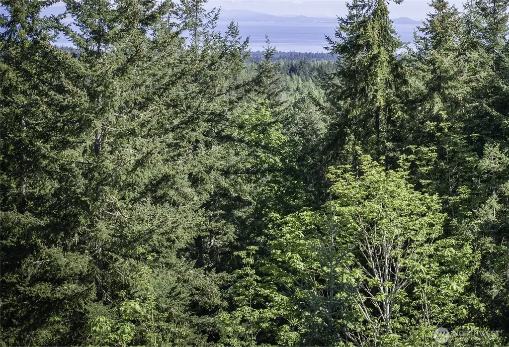 0 Township Line Road Port Angeles WA 98362