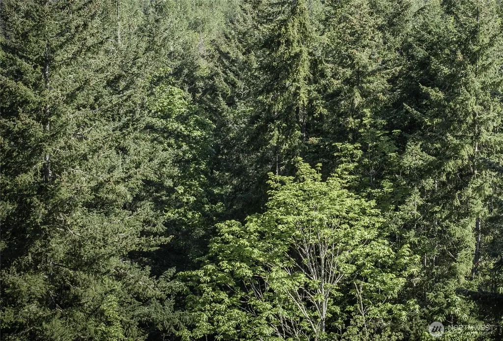 0 Township Line Road Port Angeles WA 98362