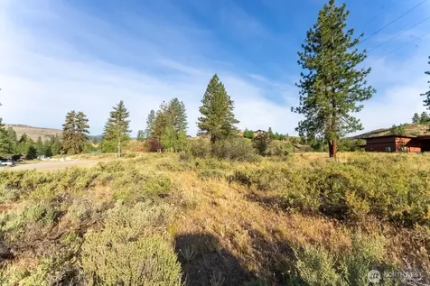 615 Pine Loop Winthrop WA 98862