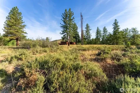 615 Pine Loop Winthrop WA 98862