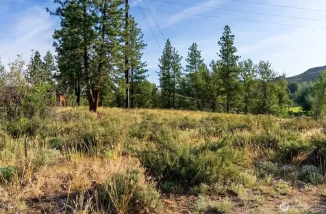 615 Pine Loop Winthrop WA 98862