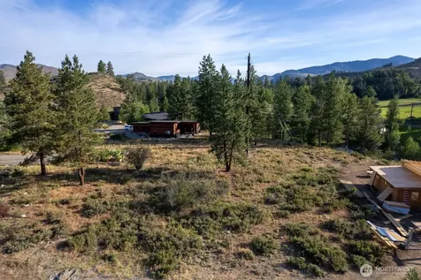 615 Pine Loop Winthrop WA 98862