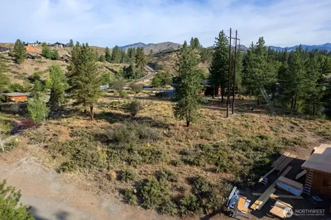 615 Pine Loop Winthrop WA 98862