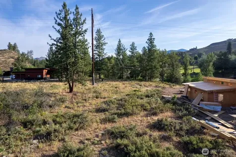615 Pine Loop Winthrop WA 98862