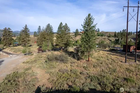 615 Pine Loop Winthrop WA 98862
