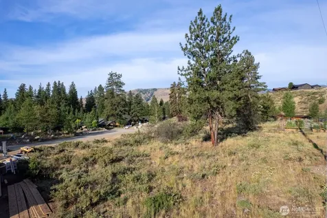 615 Pine Loop Winthrop WA 98862