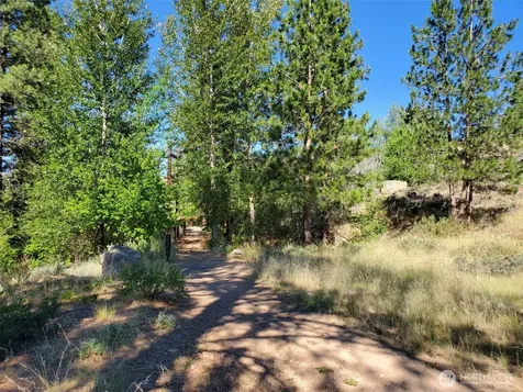 615 Pine Loop Winthrop WA 98862