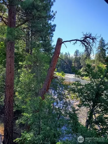 615 Pine Loop Winthrop WA 98862