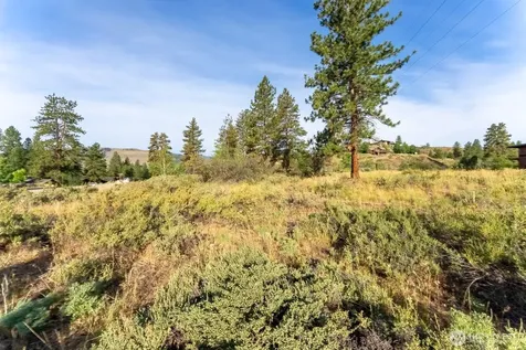 615 Pine Loop Winthrop WA 98862