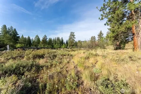 615 Pine Loop Winthrop WA 98862
