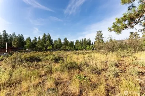 615 Pine Loop Winthrop WA 98862