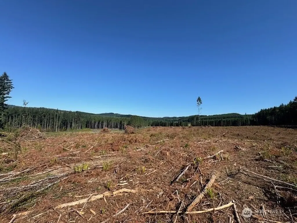 0 Nelson Road Winlock WA 98596