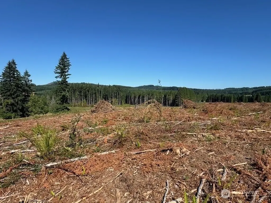 0 Nelson Road Winlock WA 98596