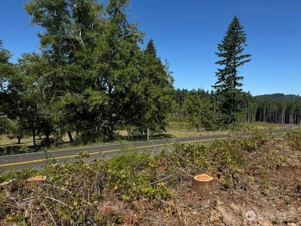 0 Nelson Road Winlock WA 98596