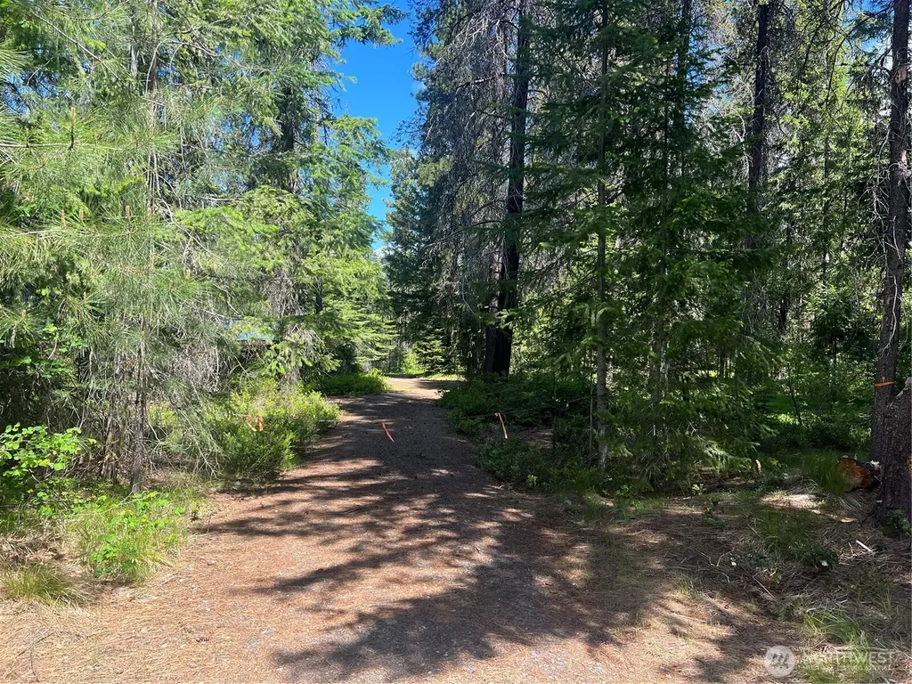 12360 W Shurgart Flats Road Leavenworth WA 98826